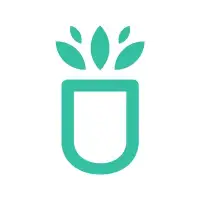 Succulents Box